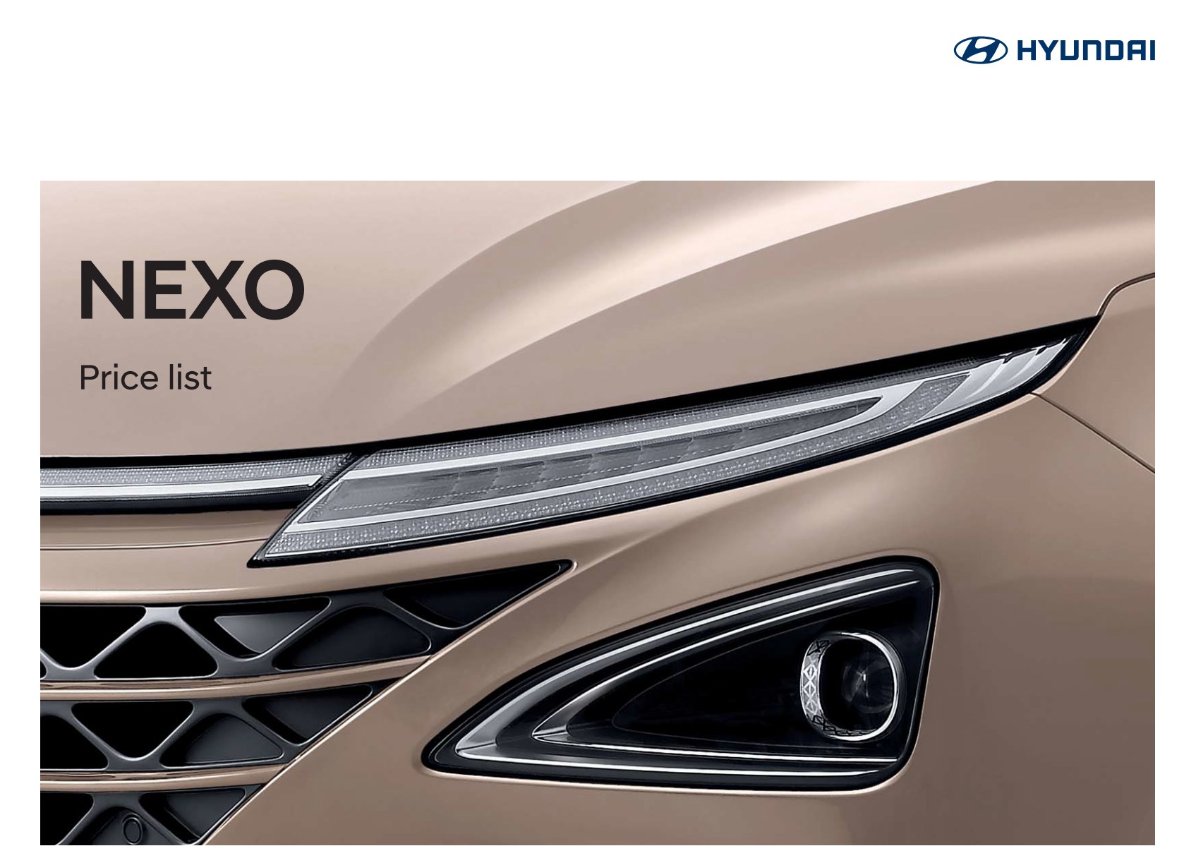 2021 현대 넥쏘 카탈로그 이미지 - 1982063480_hLme6AzO_nexo-price_01.jpg