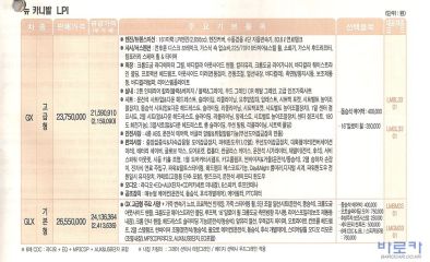2008 기아 뉴카니발 대표 이미지
